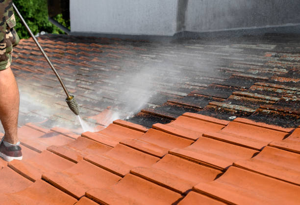 Best Pressure Washing Company Near Me  in Fair Oaks Ranch, TX